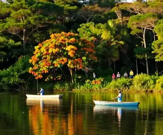 Atrações e Atividades do Clube de Pesca Adachi em Mogi das Cruzes Atrações e Atividades do Clube de Pesca Adachi em Mogi das Cruzes