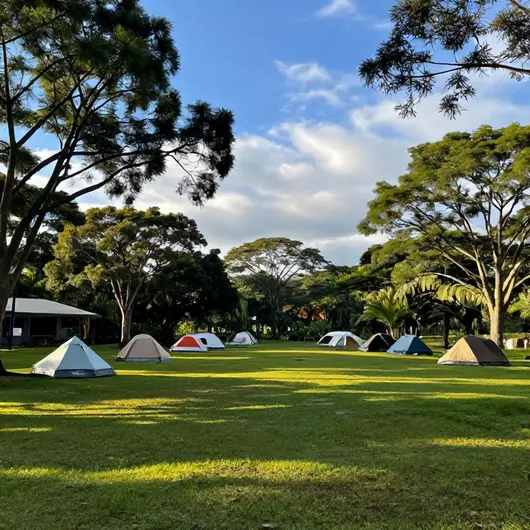 Camping do Siri: Aventura e Natureza em Harmonia Camping do Siri: Aventura e Natureza em Harmonia