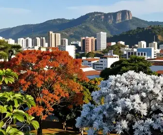 Como é o Clima em Mogi das Cruzes Durante o Ano