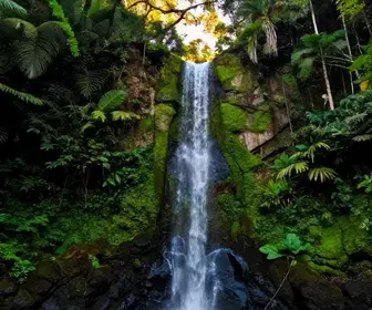 Descubra a Cachoeira da Mineração no Parque das Neblinas, Mogi das Cruzes