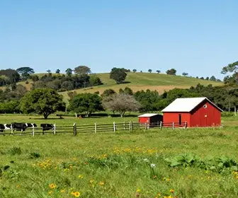 Descubra a Fazenda São José em Sabaúna: Uma Experiência de Turismo Rural