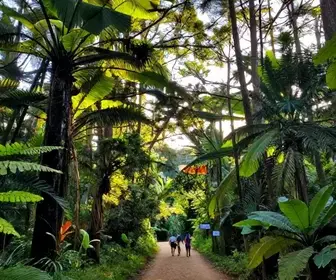 Descubra a Trilha do Espelho II na Serra do Itapeti, Mogi das Cruzes