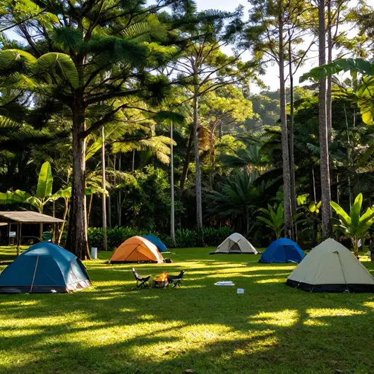 Descubra o Camping Chapéu de Sol