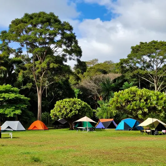 Descubra o Camping Zanoni