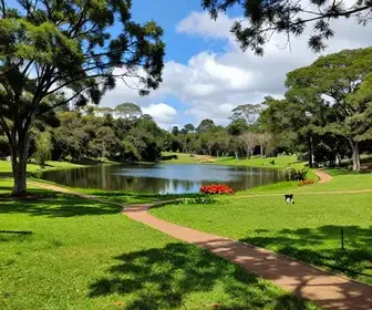 Descubra o Parque Botyra Camorim Gatti em Mogi das Cruzes