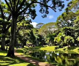 Descubra o Parque Natural Municipal Francisco Affonso de Mello em Mogi das Cruzes