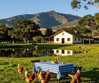 Descubra o Sítio Nakahara: Uma Experiência de Turismo Rural em Mogi das Cruzes