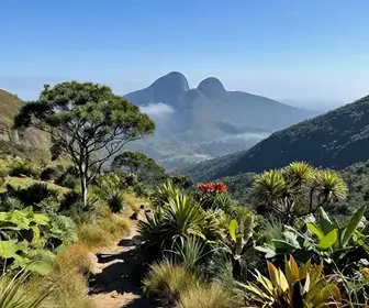 Explorando a Serra do Itapeti: Um Paraíso Natural em Mogi das Cruzes
