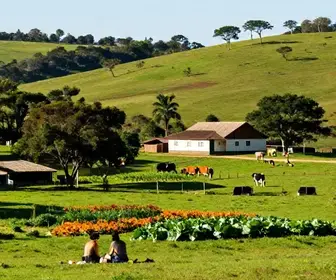 Melhores experiências de turismo rural em Mogi das Cruzes: guia completo Melhores experiências de turismo rural em Mogi das Cruzes: guia completo