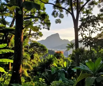 Melhores trilhas e natureza em Mogi das Cruzes: guia completo Melhores trilhas e natureza em Mogi das Cruzes: guia completo