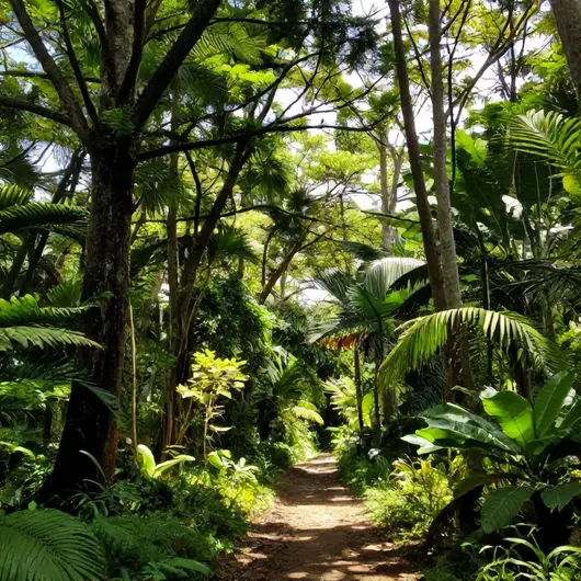 Núcleo Ambiental da Ilha Marabá Núcleo Ambiental da Ilha Marabá