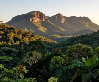 Serra do Itapeti: História de Ocupação e Preservação