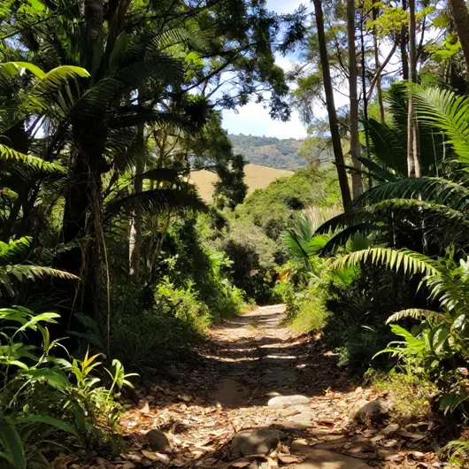 Trilhas e caminhadas Trilhas e caminhadas