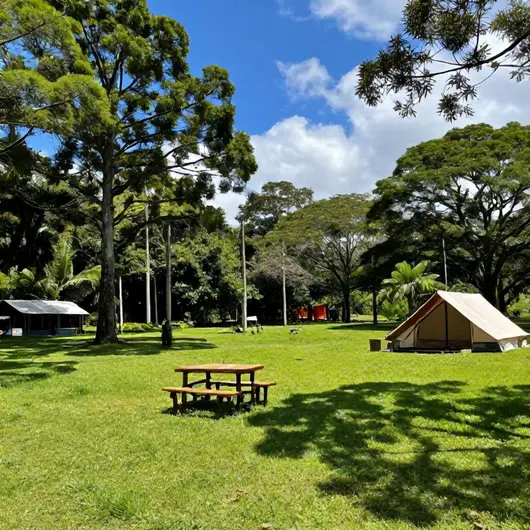 Tudo sobre Rancho Messias Camping